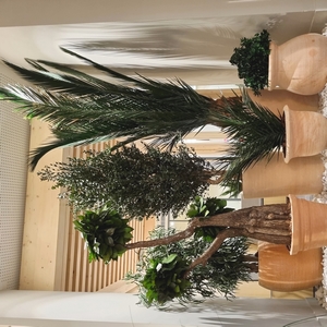 Pots en poterie de Ravel et plantes stabilisées pour l'agence du Crédit Agricole à Nice Riquier.