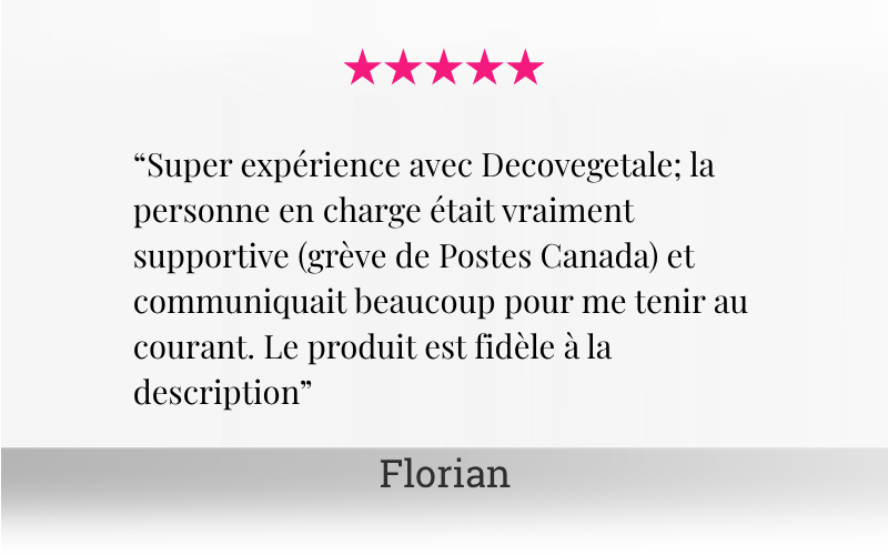 Avis vérifiés Etsy tableau végétal - Déco Végétale