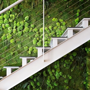 mur vegetal nature dans un restaurant nice